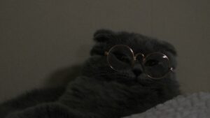 Luna Scott | Unsplash